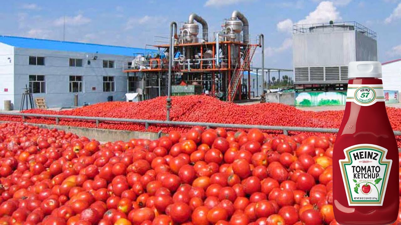How Tomato Ketchup
