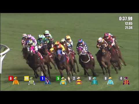 24/2/2021 (454) Flying Genius -  Z Purton