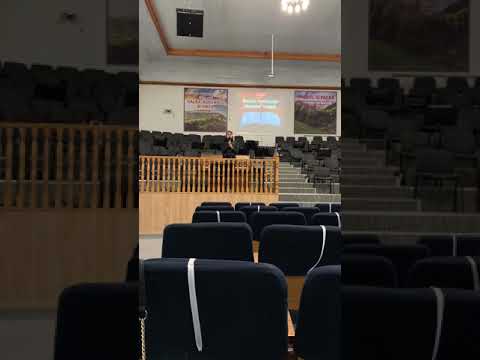 Arca lui Noe-Chitic Gabriela