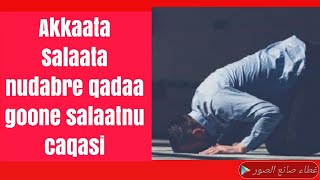 Download lagu Salaata nudabre akkamitti qadaa goonee salaatna mp3 Download lagu Salaata nudabre akkamitti qadaa goonee salaatna mp3