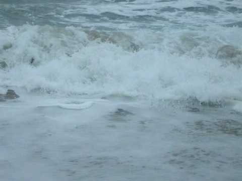 20100802 JAH and Firas F&J at Gregorio Beach