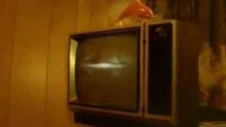 Jason Collett - I&#39;ll Bring The Sun