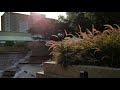 Once in a lifetime OIALT silent pool scene(3)