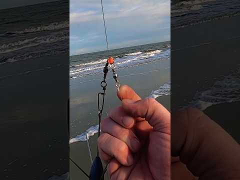 SURF FISHING TIP: Leader Line Vs Main Line Weight #beginner #surffishing #fishing #heavy #beach