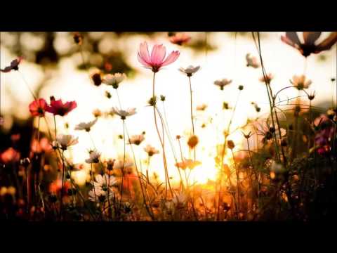 Artfaq: Garden Memories (Original Mix)