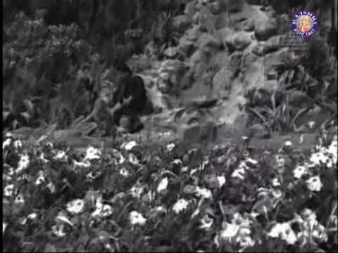 MGR & B. Saroja Devi in Kaveri Karai Iruku - Thayai Katha Thanayan