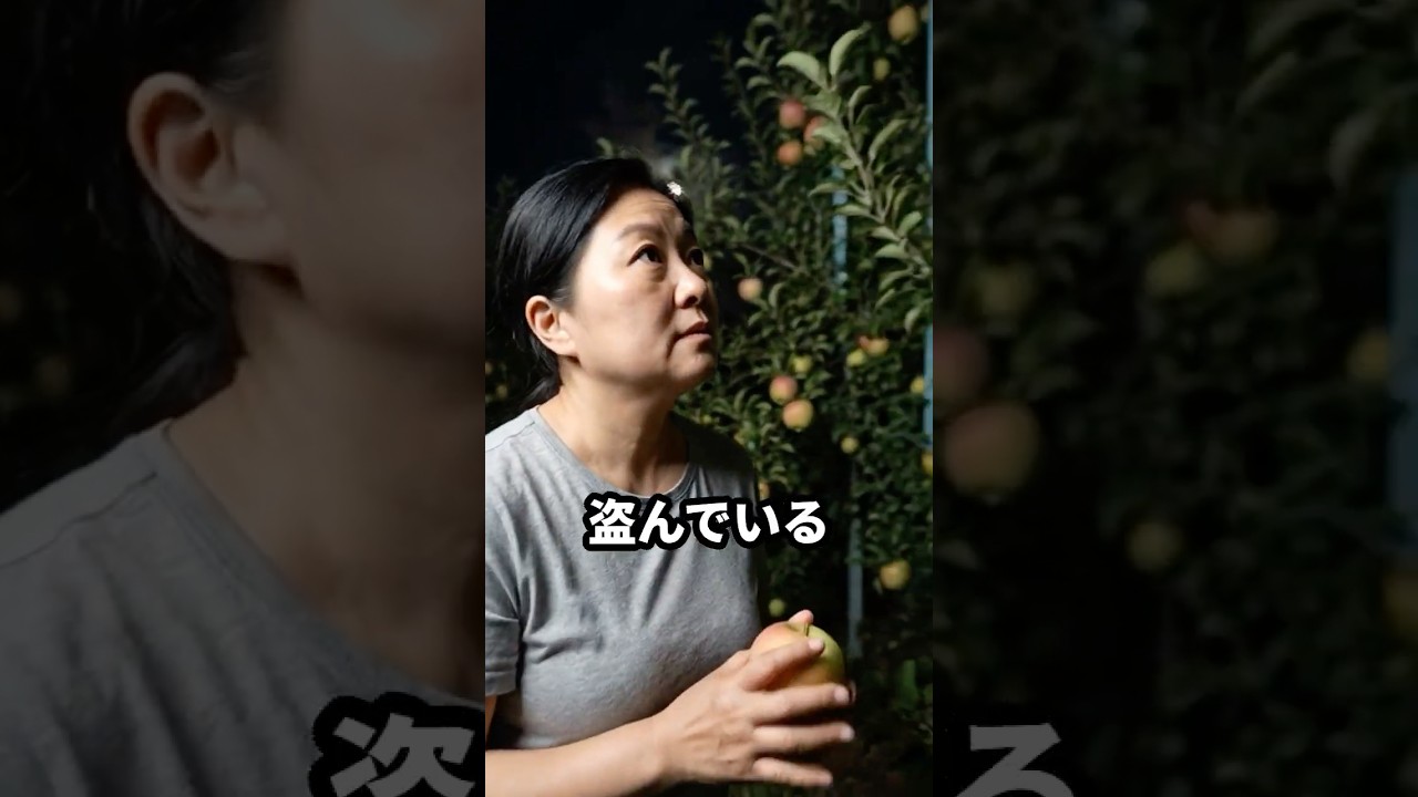 深夜の果樹園 #スカッと