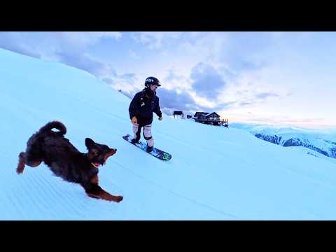 Snowboarding With My Dog