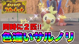 超奇跡!!　サルノリの色違いを同時に2匹出して発狂する男　【ポケモンSV】