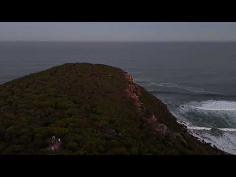 Sea cliff bridge/Plam beach/Brighton beach/Uppergled hills