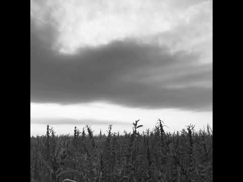 Tulsa - Josh Meloy (audio)