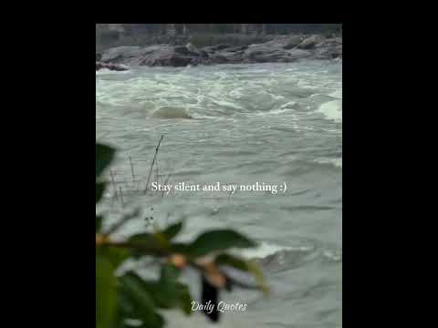 Best Motivation Whatsapp Status 🤧💔💯 | #like #share #best #true #motivation #reality #10k