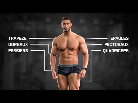 Séance FULL BODY complète (débutants et confirmés)