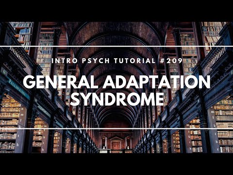 Introduction to Health Psychology Intro Psych Tutorial 206