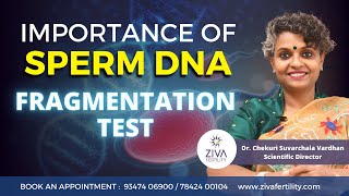 The role of sperm DNA testing on male infertility |  Sperm DNA fragmentation test | Dr. Suvarchala