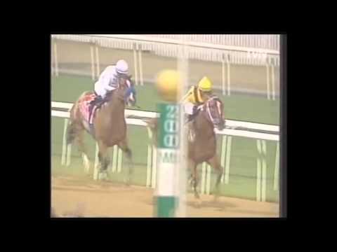 2008 Dubai World Cup Horse Racing Night 29_03_2008