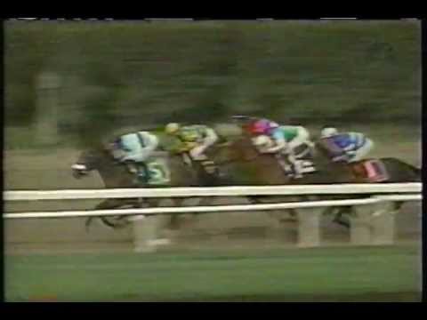 Sightseek sensational in 2003 Beldame at Belmont Park