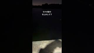 #釣り #フィッシング #海 #ウナギ釣り #釣りガール