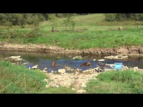 2017 09 24 Council Hill