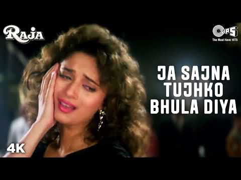 Ja Sajna Tujhko Bhula Diya - Raja - Sanjay Kapoor & Madhuri Dixit