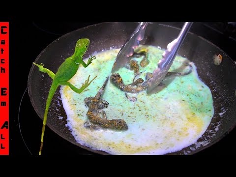 My GRANDMA's Favorite BABY IGUANA RECIPE!