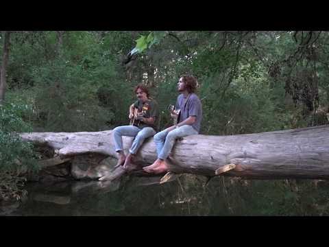 "Sailing Away" | Briscoe | Live from a Log