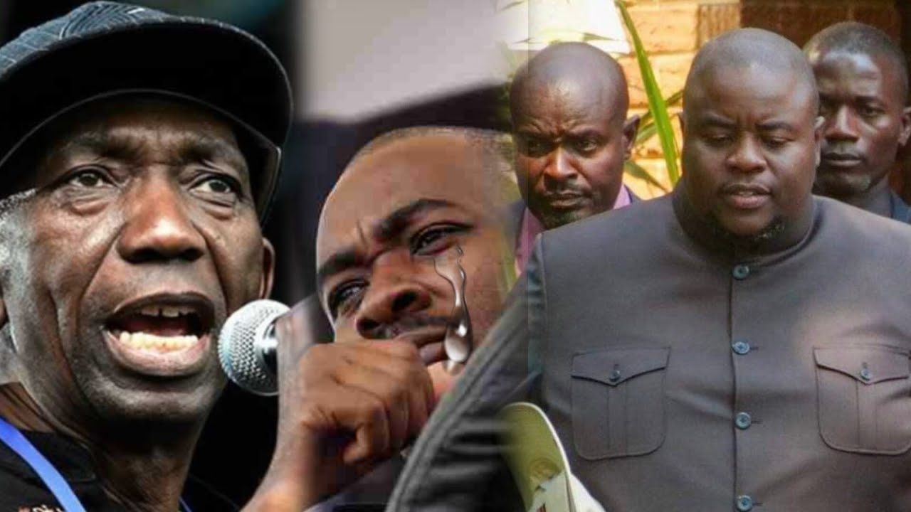 YouTube Thumbnail Downloader FULL HQ IMAGE