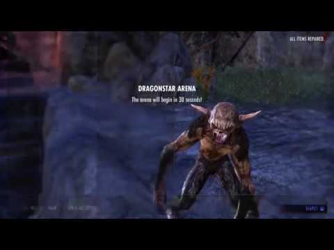 Kota-Sax-Blood in Dragonstar Arena.