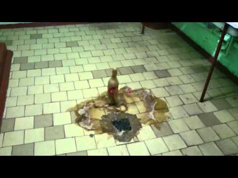 Experiment la fizica Mihaela , Antonia