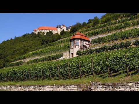 Saale-Unstrut: Kostbare Weine. Einzigartige Kulturlandschaft.