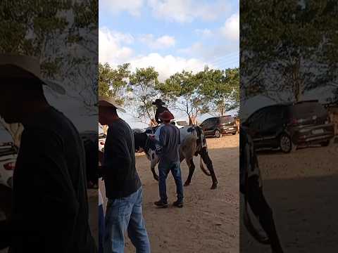 Cavalgada Em Passira Pernambuco