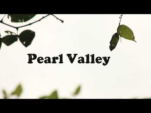 Ajay J C FILM STALKER{https://www.youtube.com/user/aj21170} Explore the valley