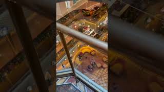 WOW! Cruise Lines Secret Discount! 🛳️ #cruise #cruiseship #cruiselife #travelvlog #viral