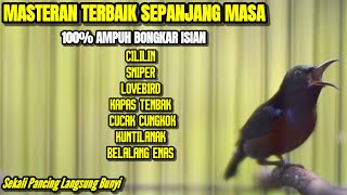 Download lagu KONIN GACOR MATERI LOMBA TEMBAKAN MEWAH COCOK BUAT MASTERAN KOLIBRI NINJA ANDA mp3
