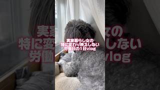 労働日の1日vlog #日常vlog