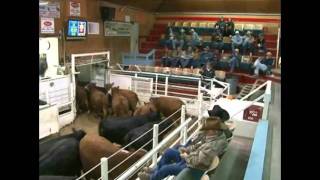 preview picture of video 'Torrington Livestock Auction'