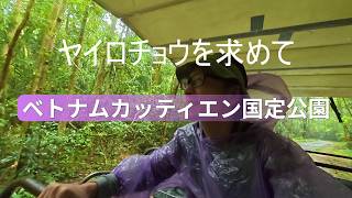 カッティエン国定公園