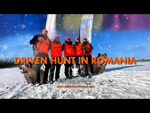 Driven Hunt in Romania | Season 3 | Wild Boar Unlimited