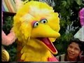 Sesame Street Birthday Snuffy Party Episode 3421 Full Sence Part Finale