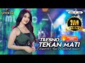 TRESNO TEKAN MATI DIANDRA AYU SIMPATIK MUSIC