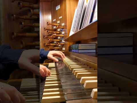 Ich lobe meinen Gott, der aus der Tiefe mich holt #shorts