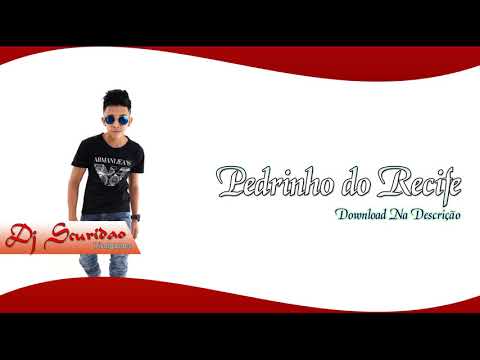 Mc Pedrinho Do Recife - Festa Maluca - Musica Nova 2k18