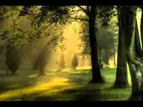 Selayang Pandang - S.Effendi