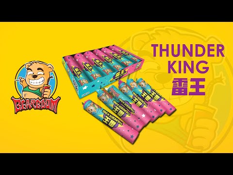 A022 雷王 THUNDER KING