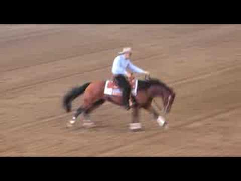 FEI World Reining Championship 2008, #2: Diaro Carmignani ITA