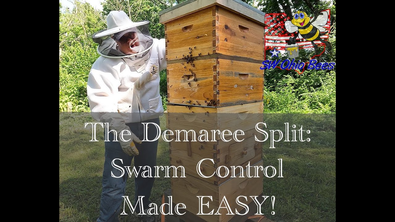 The Demaree Split: Swarm Control Made Easy!