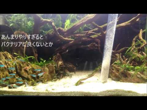 【アクアリウム】#0015 水作プロホース使用感想(キューブガーデン60cm水槽)