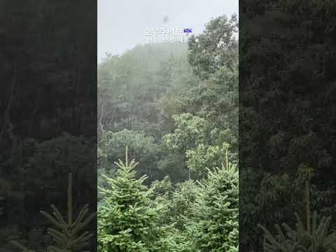 호우주의보☔️