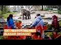 Seinen op groen voor versoepelingen