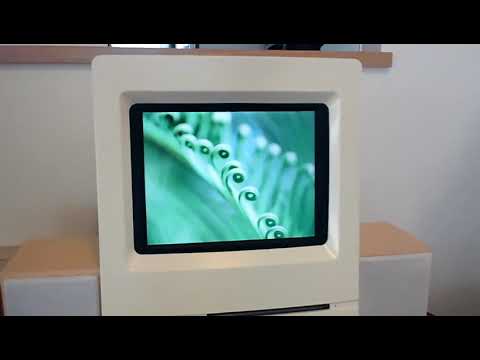 Mac Mini in Mac Classic 2